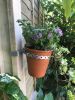 Picture of 2 beautiful Clinch-It 7" Stainless-Steel Potholders with 4" Stainless-Steel Slotted Concrete Fence-Post Brackets & fixing bolts