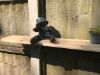 Picture of 2 Clinch-It 10" Black Hanging Basket or Shelf Brackets with 4" Stainless-Steel Clinch-It Slotted Concrete Fence Post brackets